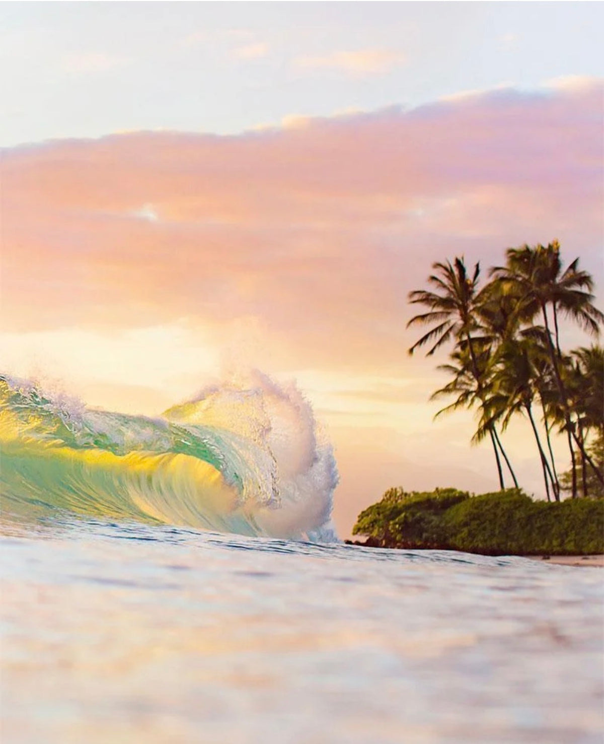 Ocean Art Matted Print