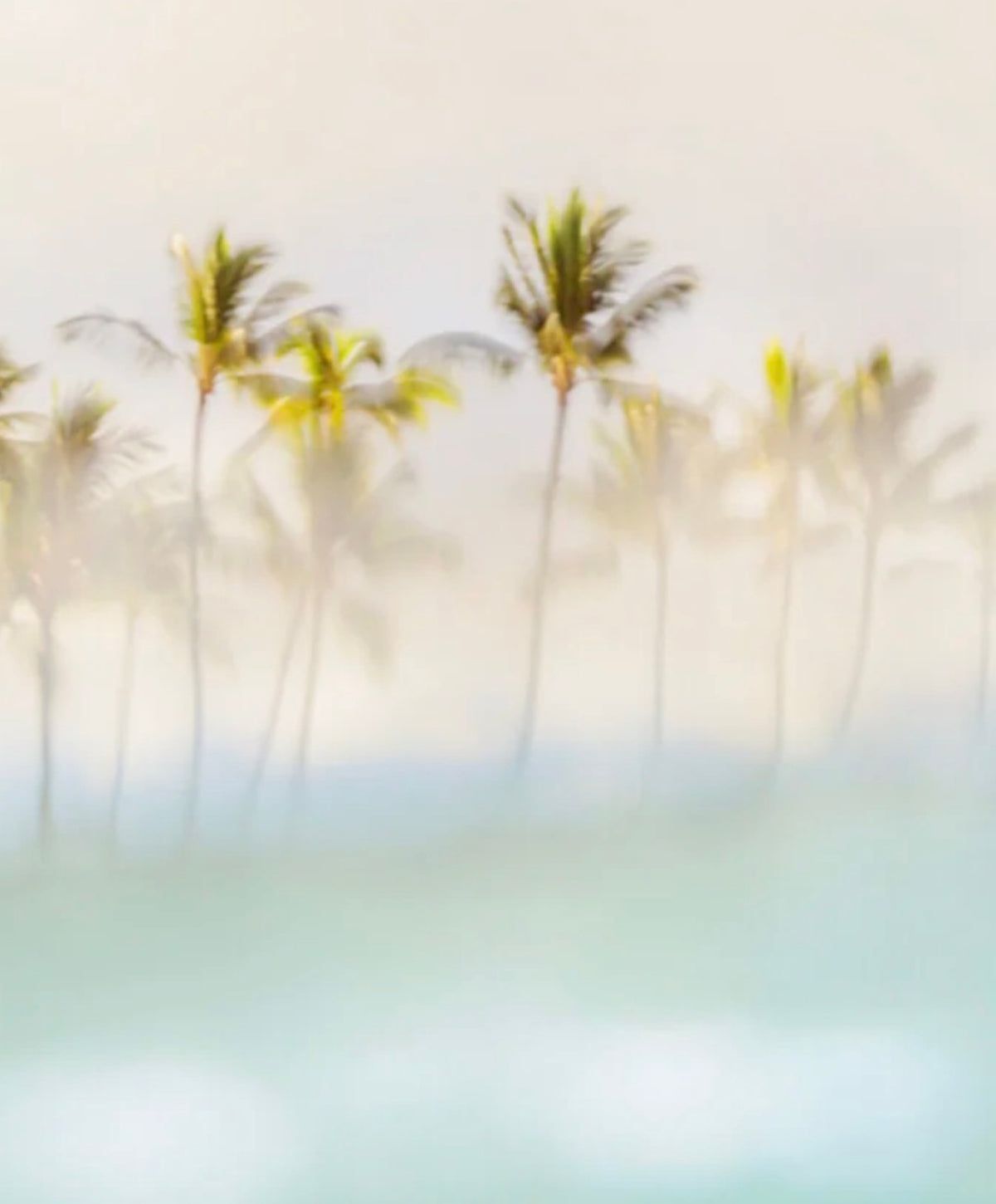 Ocean Art Matted Print